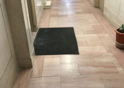 A long hallway with a potted plant and mat on the floor